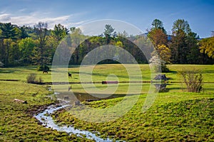 Small stream and pond in the rural Shenandoah Valley of Virginia