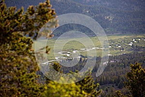 A Small Stream and River Running Through a Meadow on a Summer Day in Rocky Mountain National Park