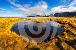 Small stream running through nordic nature on Lofoten islands