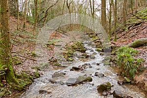 Small stream running through typical British woodland