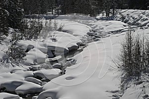 a small stream in a snowy landscape next to tall trees