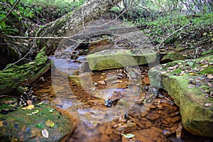 A small stream stained orange from acid mine drainage.