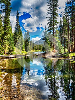 Small Stream in Summit County, Colorado