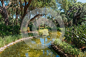 Small stream in Washington Oaks Gardens State Park in Palm Coast, Florida