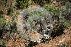 Small stream of water falling into timy pool in scrub desert