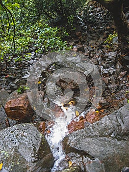 A small stream of water flowing in Stoney Area in forest