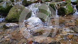 A small stream of water flows over rocks in a mountainous area in a forest. Forest landscape.