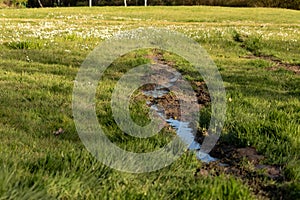 small stream of water through mud and grass