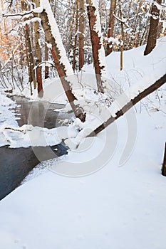 Small stream in winter forest