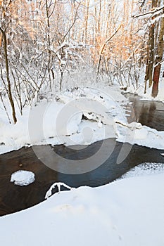 Small stream in winter forest