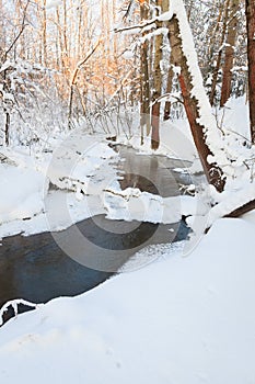 Small stream in winter forest