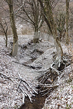 A small stream in winter on the Shumen Plateau