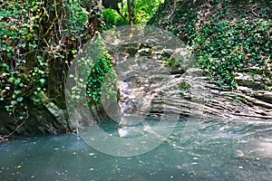 Small streamlet feeding lake with stagnant water among the jungle