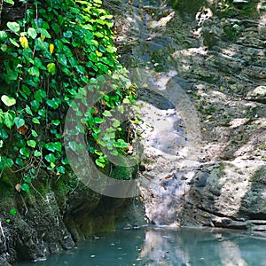 Small streamlet flowing into lake with stagnant water