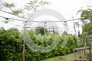 String wired Light bulbs on garden background.