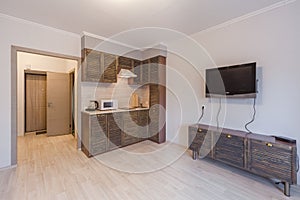 Small studio apartment and kitchen hightech interior