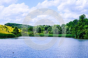 Small summer forest lake