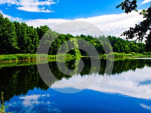 Small summer forest lake