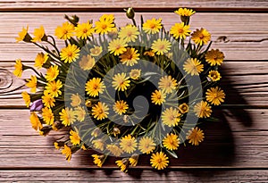 Small summer wildflowers on a wooden floor background, empty copy space, summer day, beautiful natural flowers,