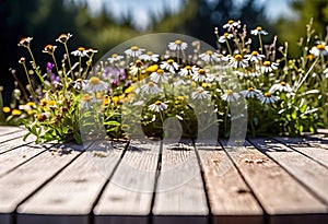 Small summer wildflowers on a wooden floor background, empty copy space, summer day, beautiful natural flowers,