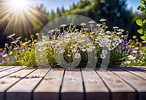 Small summer wildflowers on a wooden floor background, empty copy space, summer day, beautiful natural flowers,