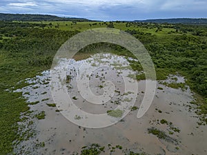 Small Swamp in Itaja Goias