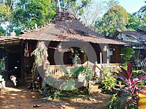 The small sweet home antiqe from java