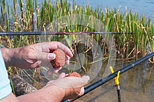 Small sweet red balls in the fisherman& x27;s hand, carp fishing baits. Flavorful bait for carp fishing for carp baits