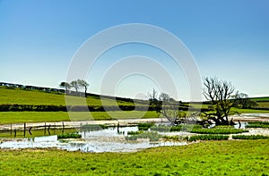 Small tarn surrounded by field