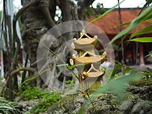 Small temple and bonsai tree