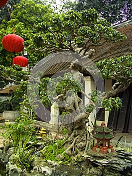 Small temple and bonsai tree