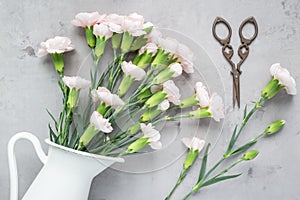 Small tender pink carnation flowers in enamel vase on gray concrete, flat lay