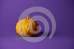 Small textured pumpkin on a purple background. Halloween decoration. Holiday Poster or Harvest. Copy space