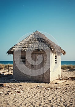 Small Thatched Beach Hut on Sandy Shore