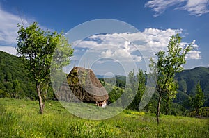 Small thatched cottage