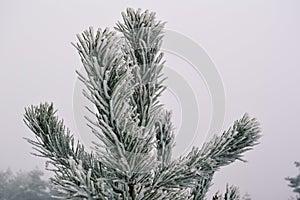 Small things makes diference