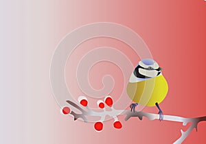 Small titmouse on a twig