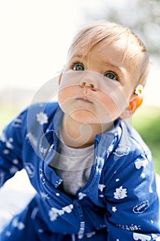 Small toddler in a blue overalls and a daisy behind his ear sits on the lawn and looks up. Close-up