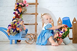 Small toddler lovely girl in blue dress with a bucket and a cart of flowers in studio scenery beautiful garden. Little gardener