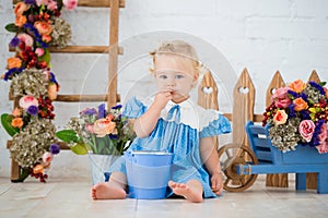 Small toddler lovely girl in blue dress with a bucket and a cart of flowers in studio scenery beautiful garden. Little gardener