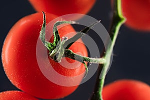 Small tomato vegetables with green fresh peduncle