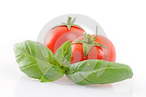 Small tomatoes with basil
