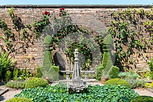Small topiary garden with espaliered roses against brick wall.