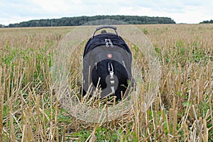 A small tourist backpack stands on the ground in the middle of a sloping field