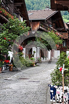 Brienz photo