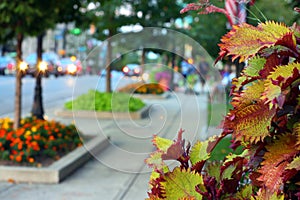 Small town fall downtown scene