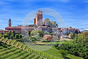 Small town and green vineyards in Piedmont, Italy. photo