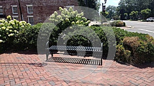 Small Town sitting area bench flowers