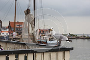 The small town of Volendam, on Markermeer Lake, northeast of Amsterdam, which is known for its colorful wooden houses and the old