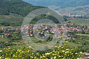 Small town in Wachau valley with wineries in Austria